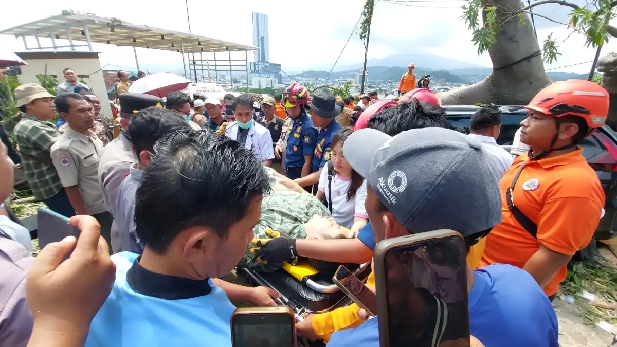 Tumbangnya Pohon Besar di Holiday Inn Randu Hotel Bandar Lampung, Dua Mobil dan Warga Jakarta Terkena Imbas