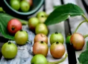 10 Manfaat Buah Ceri bagi Kesehatan Tubuh