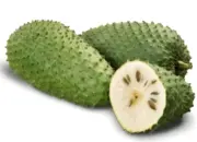 5 Manfaat Buah Sirsak bagi Kesehatan Tubuh