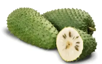 5 Manfaat Buah Sirsak bagi Kesehatan, dari Melancarkan Pencernaan hingga Menangkal Kanker