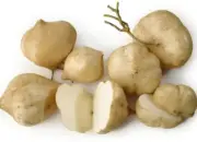 Manfaat Bengkoang bagi Kesehatan Tubuh yang Jarang Diketahui