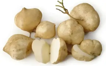 6 Khasiat Buah Bengkuang untuk Kesehatan Tubuh Jika Dikonsumsi Secara Tepat