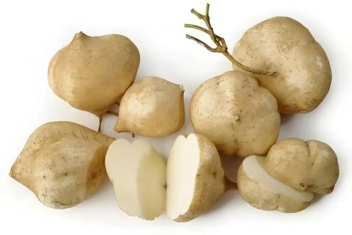 6 Khasiat Buah Bengkuang untuk Kesehatan Tubuh Jika Dikonsumsi Secara Tepat