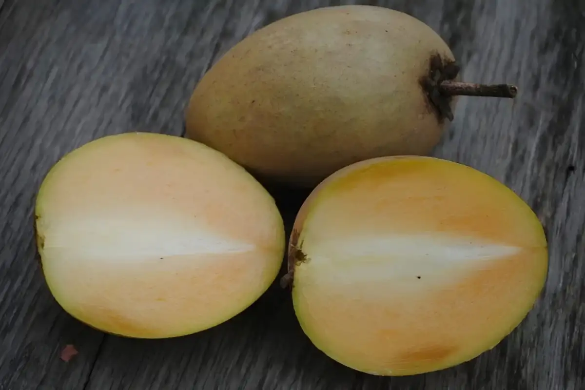 7 Manfaat Buah Sawo bagi Kesehatan, Tak Hanya Menambah Energi tetapi Juga Menyehatkan Kulit