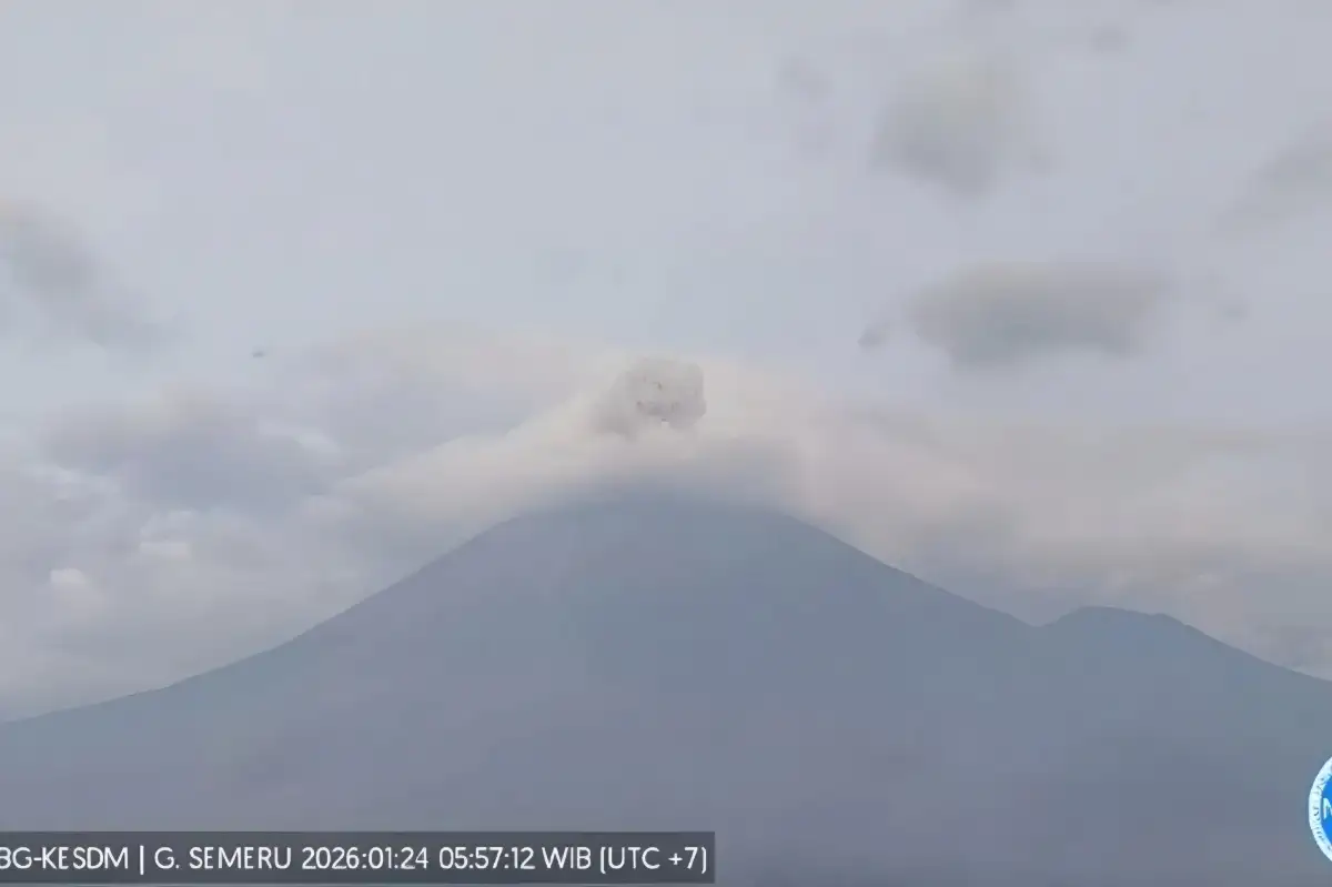 Aktivitas Gunung Semeru Meningkat, Puluhan Gempa Letusan Tercatat dalam Sehari