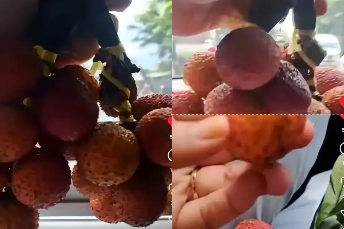 Apes! Warga Tertipu Beli “Leci” Rp50 Ribu di Lampu Merah Sadang, Isinya Tak Sesuai Harapan