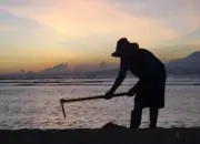 Arti Mimpi Bertemu Buaya, Benarkah Pertanda Luar Biasa Menguntungkan?