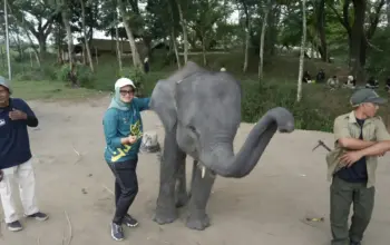 Bupati Lampung Timur Dorong Kolaborasi Daerah untuk Dukung Pemulihan Ekosistem Way Kambas