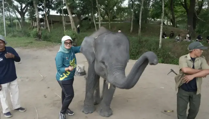 Bupati Lampung Timur Dukung Pemulihan Ekosistem dan Penanganan Konflik Gajah di Way Kambas