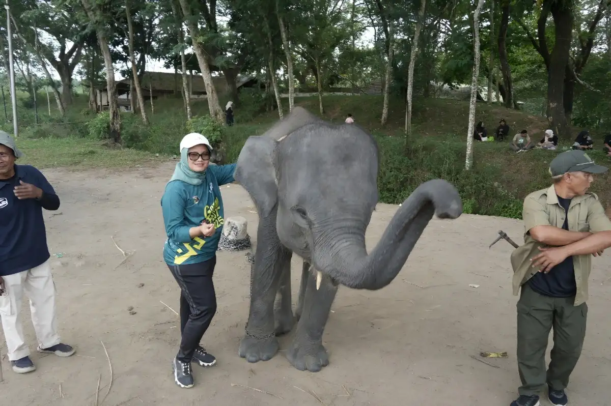 Bupati Lampung Timur Dorong Kolaborasi Daerah untuk Dukung Pemulihan Ekosistem Way Kambas