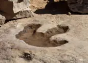 Canggih! AI DinoTracker Mampu Mengenali Jejak Kaki Dinosaurus dengan Akurasi 90%