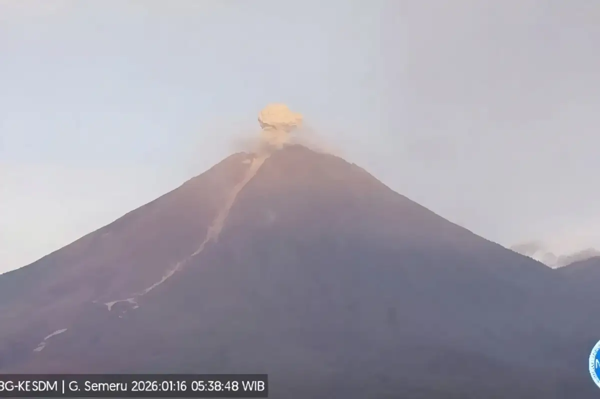 Erupsi Pagi Ini: Gunung Semeru Lontarkan Abu Setinggi 800 Meter, Status Waspada