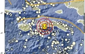 Gempa M5,5 Guncang Maluku Tengah Hari Ini, BMKG Pastikan Tanpa Potensi Tsunami