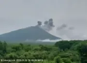 Gunung Ili Lewotolok Meletus Lagi Pagi Ini, Kolom Abu Terpantau ke Arah Timur