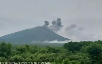 Gunung Ili Lewotolok Meletus Lagi Pagi Ini, Kolom Abu Terpantau ke Arah Timur