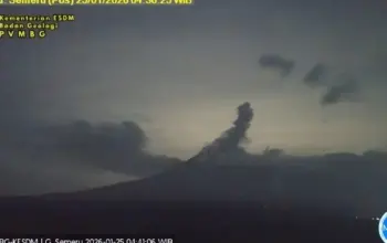 Gunung Semeru Kembali Erupsi, Kolom Abu Capai 800 Meter ke Arah Timur Laut