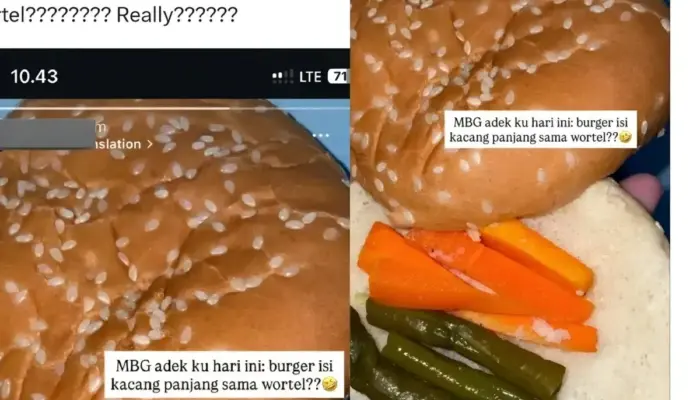 Kritik Menu MBG Berujung Peringatan Resmi, Netizen Heboh Soal Dugaan Email dari Komdigi