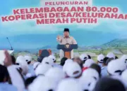 Kopdes Merah Putih, Jawaban Tepat untuk Tantangan Kerja Generasi Muda