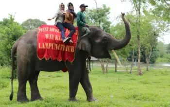 Lampung Masuk 10 Besar Destinasi Wisata Nasional, Perputaran Ekonomi Capai Rp53 Triliun di 2025