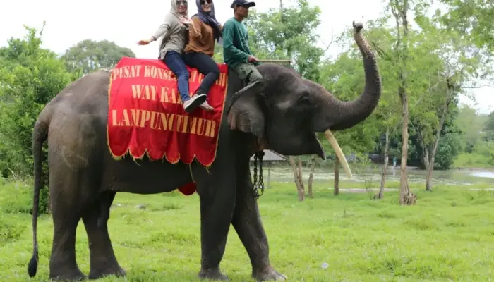 Pariwisata Lampung Tembus 24,7 Juta Perjalanan di 2025, Jadi Penggerak Ekonomi Regional