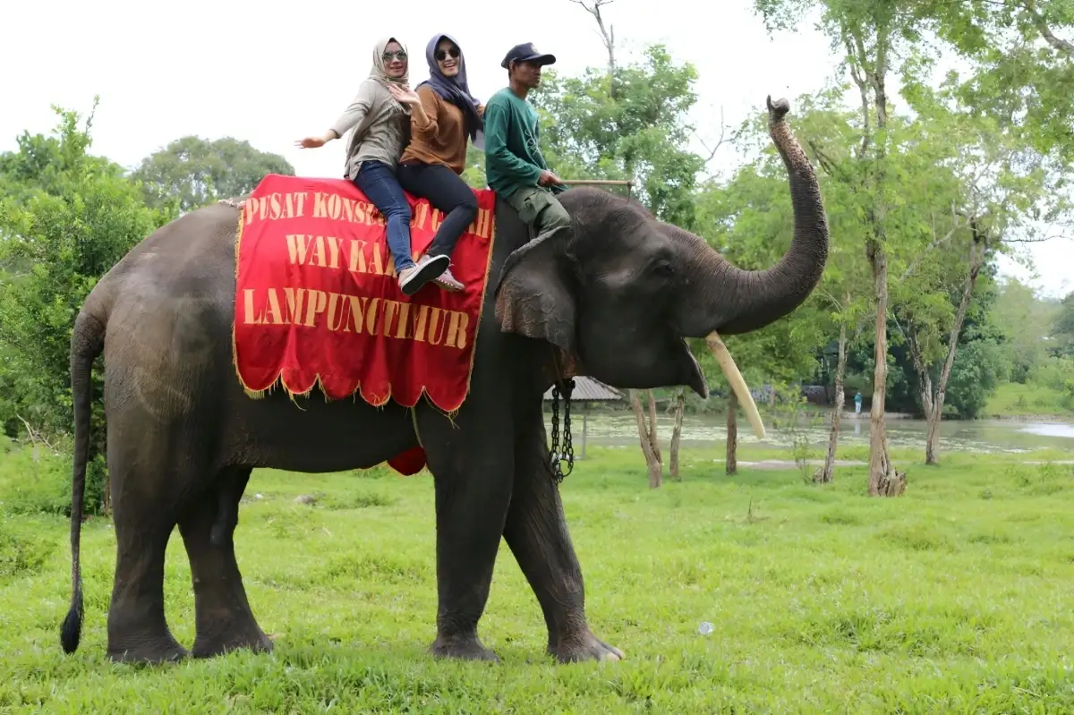 Lampung Masuk 10 Besar Destinasi Wisata Nasional, Perputaran Ekonomi Capai Rp53 Triliun di 2025