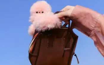 Mirumi, Robot Mini Jepang yang Siap Ubah Tren Bag Charm di Dunia Fashion 4 Mirumi Jadi Tren Baru! Robot Mini Jepang Diprediksi Geser Popularitas Labubu