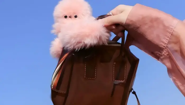 Mirumi, Robot Mini Jepang yang Siap Ubah Tren Bag Charm di Dunia Fashion