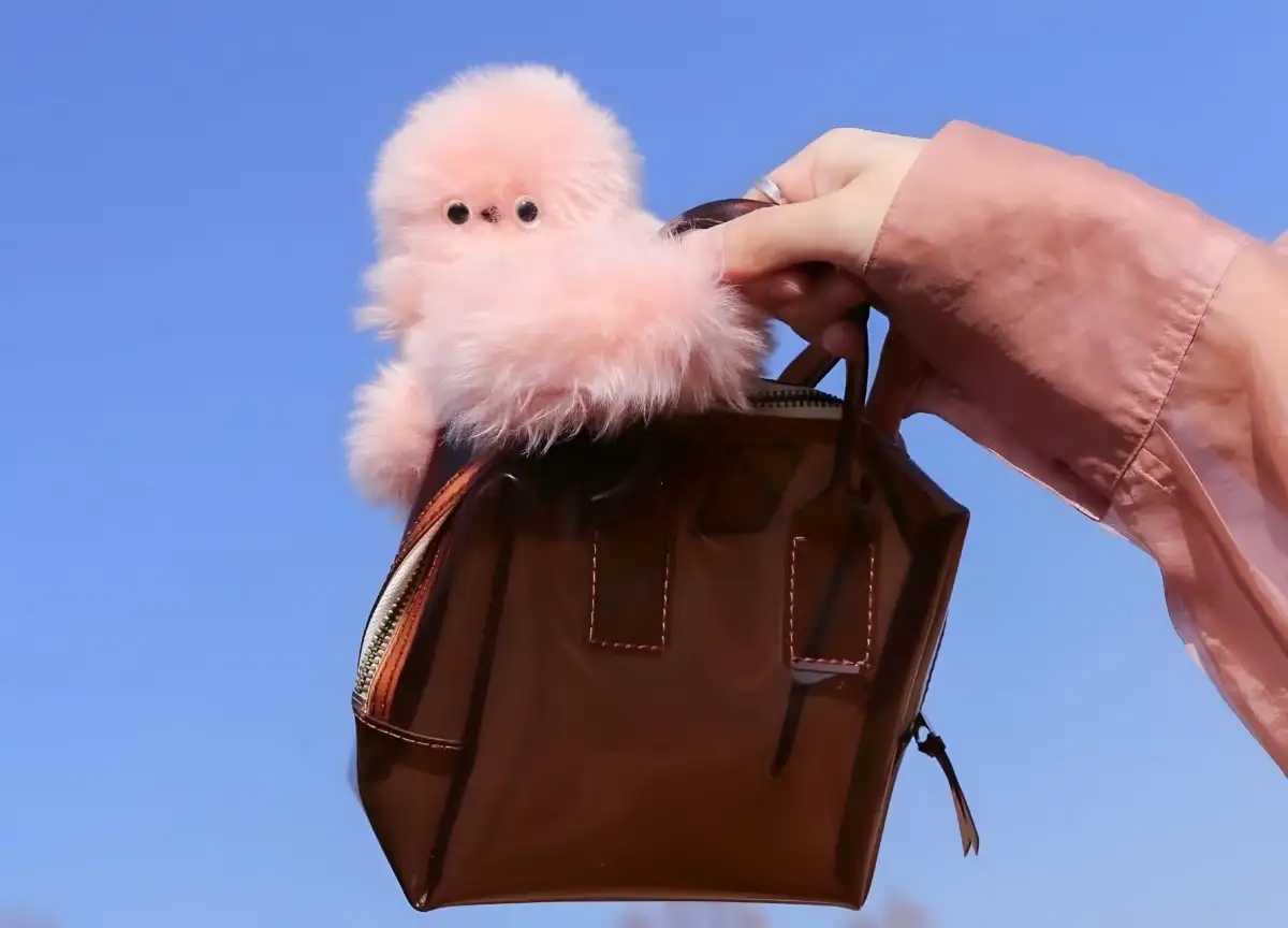 Mirumi Jadi Tren Baru! Robot Mini Jepang Diprediksi Geser Popularitas Labubu