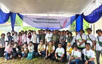 Dorong Keberlanjutan Pesisir Lewat Program TJSL, PLN Lampung Tanam 33 Ribu Bibit Mangrove di Pesawaran 3 PLN Lampung Tanam 33 Ribu Bibit Mangrove di Pantai Pesawaran Dukung Keberlanjutan Pesisir