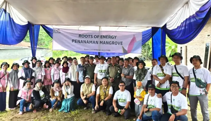 Dorong Keberlanjutan Pesisir Lewat Program TJSL, PLN Lampung Tanam 33 Ribu Bibit Mangrove di Pesawaran