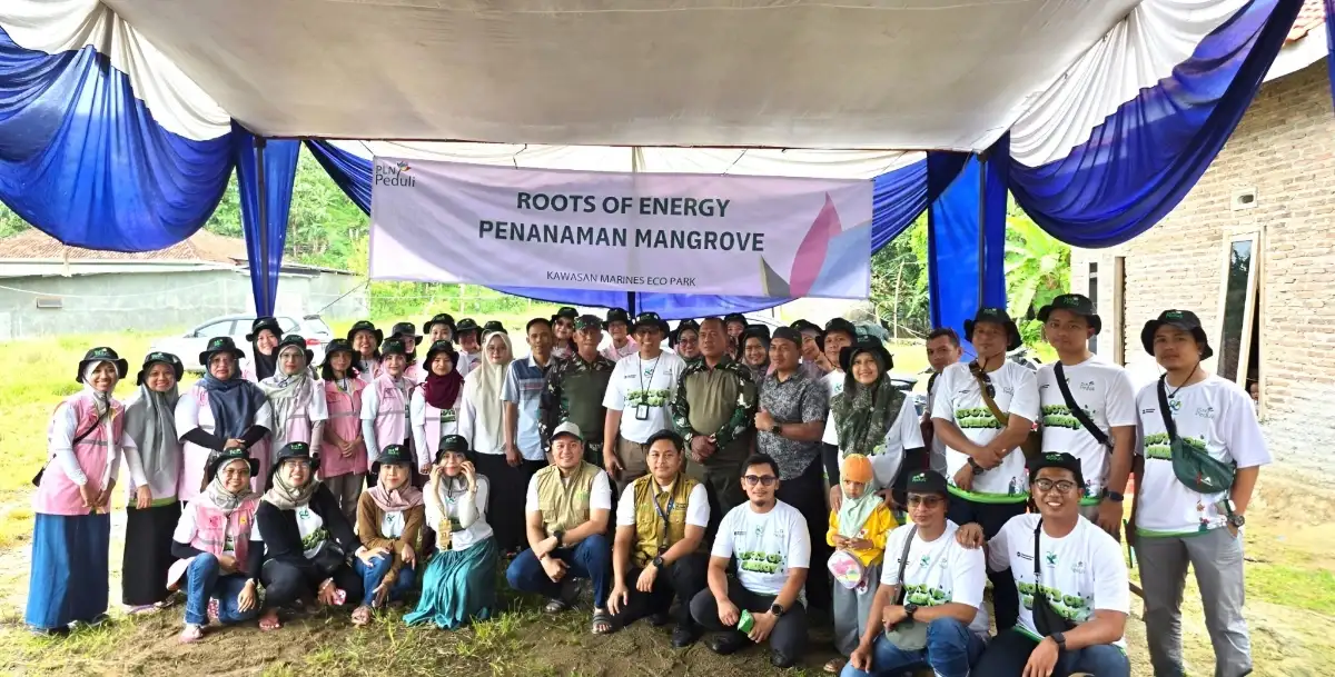 PLN Lampung Tanam 33 Ribu Bibit Mangrove di Pantai Pesawaran Dukung Keberlanjutan Pesisir