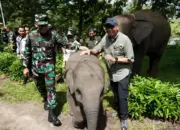 Pagar Permanen 70 Km di Way Kambas Segera Dibangun, TNI Siap Amankan dan Kawal Proyek