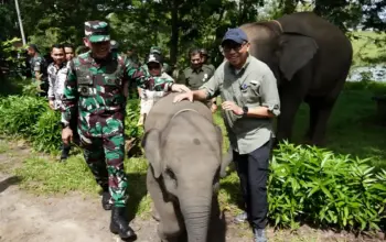 Pagar Permanen 70 Km di Way Kambas Segera Dibangun, TNI Siap Amankan dan Kawal Proyek