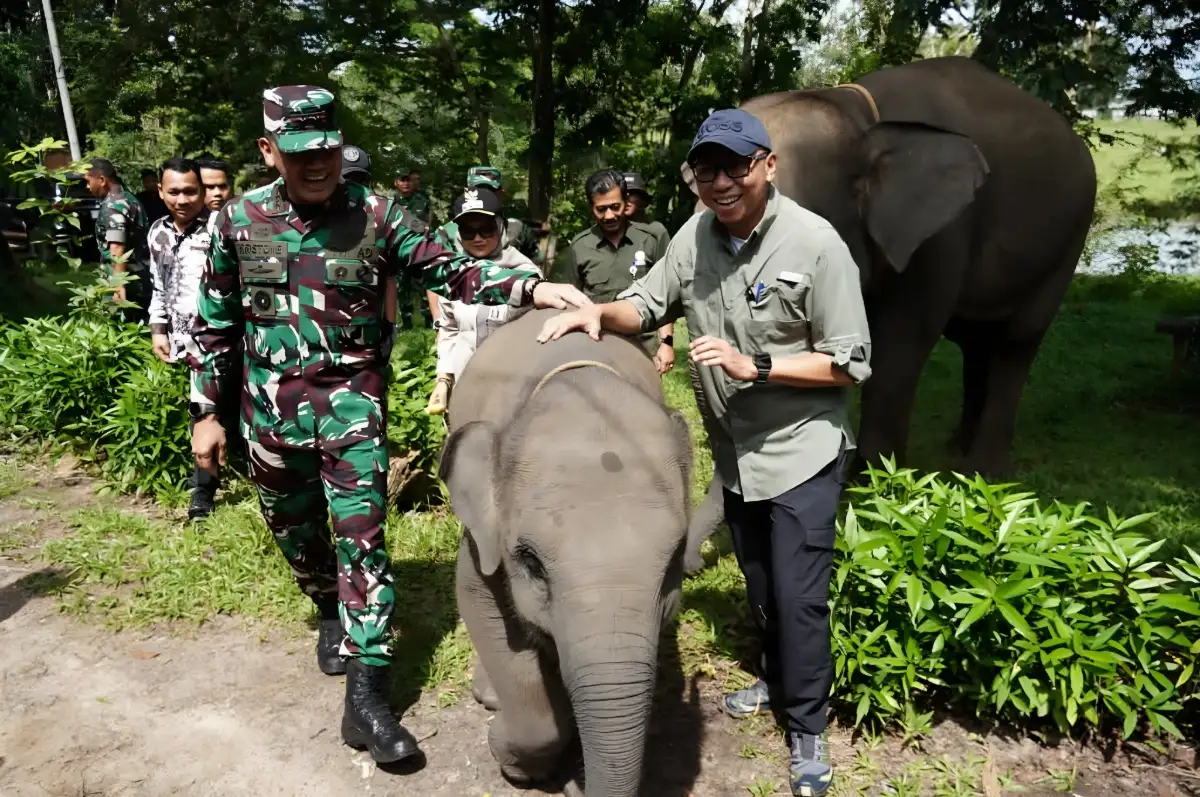 Pagar Permanen 70 Km di Way Kambas Segera Dibangun, TNI Siap Amankan dan Kawal Proyek