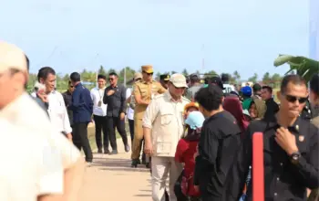 Percepat Proyek Pangan, Papua Pegunungan Siapkan 2.000 Ha Lahan Sawah di Jayawijaya