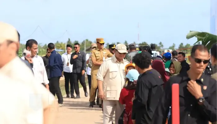 Pemerintah Percepat PSN Pangan di Papua Pegunungan, 2.000 Hektare Sawah Disiapkan di Jayawijaya