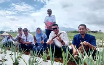 Polinela Kembangkan Galur Ubi Jalar Unggul Polinela-1 dan Polinela-2, Hasil Riset Bertahun-Tahun 3 Polinela Tanam Ubi Jalar Unggul Hasil Penelitian Budidaya di Lampung Barat