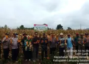 Polsek Tanjung Bintang Gelar Panen Raya Jagung di Galih Lunik, Dukung Ketahanan Pangan Nasional
