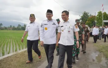 Produksi Padi Lampung Naik 15 Persen, Presiden Prabowo Deklarasikan Swasembada Pangan
