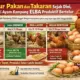 Produktivitas Tinggi! Pakan dan Takaran Tepat Bikin Ayam Kampung ELBA Gacor Bertelur