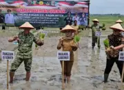 Program Tanam Serentak di Lampung Timur, Kodam Radin Inten Targetkan Lompatan Produksi Beras