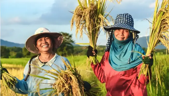 Presiden Prabowo Umumkan Indonesia Kembali Capai Swasembada Pangan