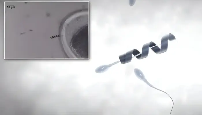 Spermbot, Robot Mikro yang Bantu Sperma Lemah Capai Sel Telur Tanpa IVF