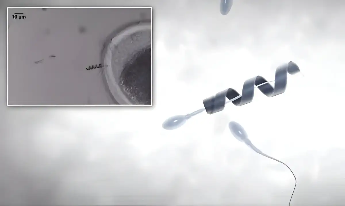 Spermbot, Robot Mikro yang Membantu Sperma Lemah Mencapai Sel Telur Tanpa IVF