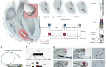 Terobosan Peneliti China: Alat Pacu Jantung Mikro Berdaya Mandiri Seumur Hidup 7 Terobosan Medis! Ilmuwan China Kembangkan Pacu Jantung Tanpa Baterai