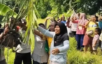 Warga Cigobang Bongkar Paksa Sawit di Bukit Resapan, Perusahaan Dianggap Ingkar Janji