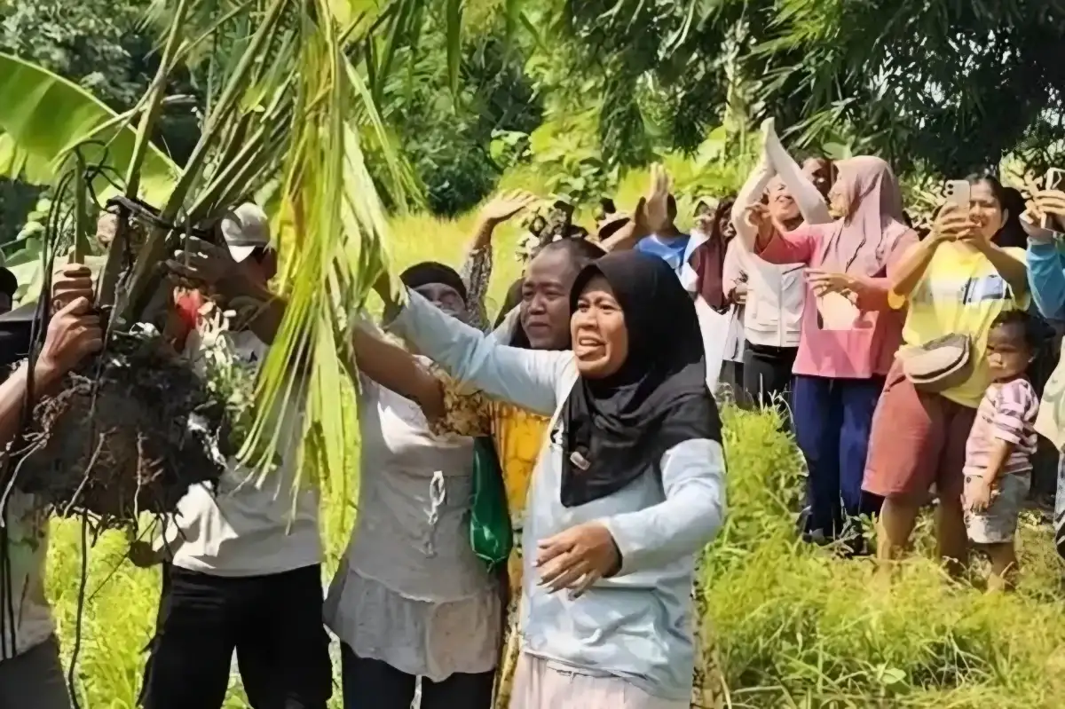 Warga Cigobang Bongkar Paksa Sawit di Bukit Resapan, Perusahaan Dianggap Ingkar Janji