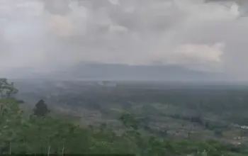 Aktivitas Gunung Semeru Meningkat, 24 Kali Gempa Erupsi Tercatat, Warga Diminta Jauhi Radius 5 Km