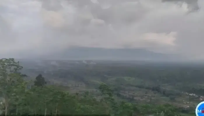 Aktivitas Gunung Semeru Meningkat, 24 Kali Gempa Erupsi Tercatat, Warga Diminta Jauhi Radius 5 Km