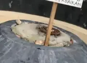 Viral! Api Abadi Mrapen Grobogan Padam, Netizen Ramai Guyon hingga Sindiran 13 Api Abadi Mrapen Padam, Warganet: yang Katanya Abadi Ternyata Bisa Mati